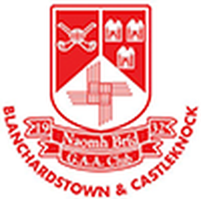 St. Brigids crest