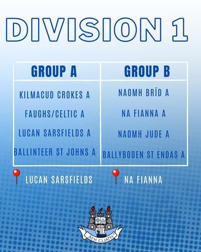 Camogie Feile Div 1