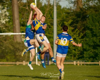 Image courtesy Niall O'Connell/@KnockPhotos Image