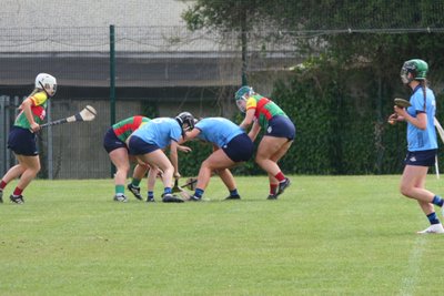 Dublin V Carlow 