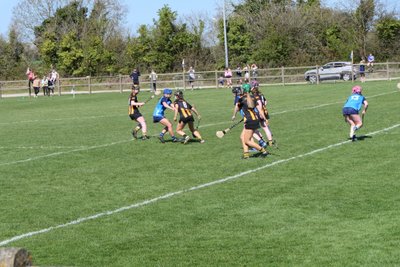 Dublin V Kilkenny 06/04/2025 Image