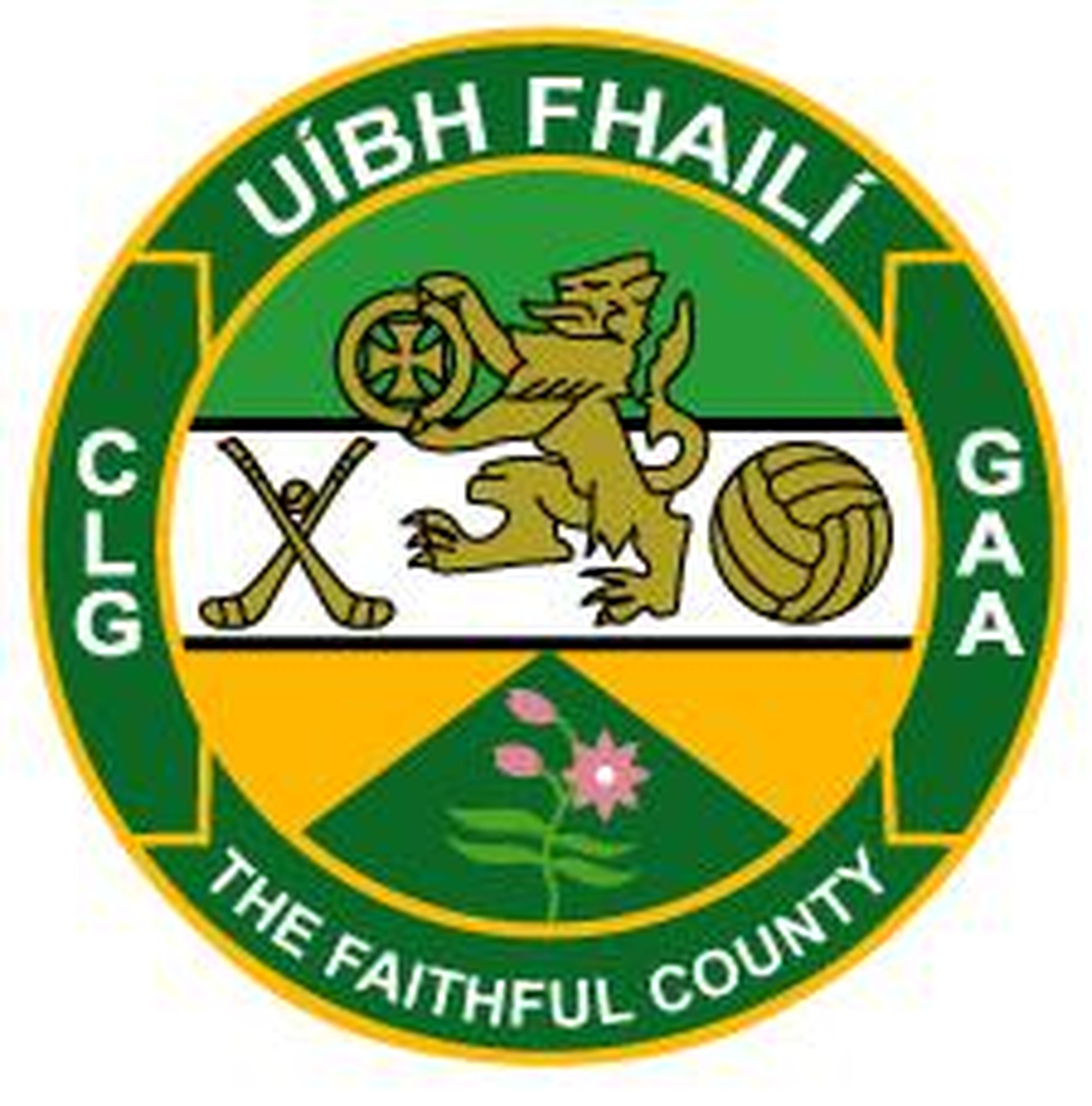 Logo Offaly
