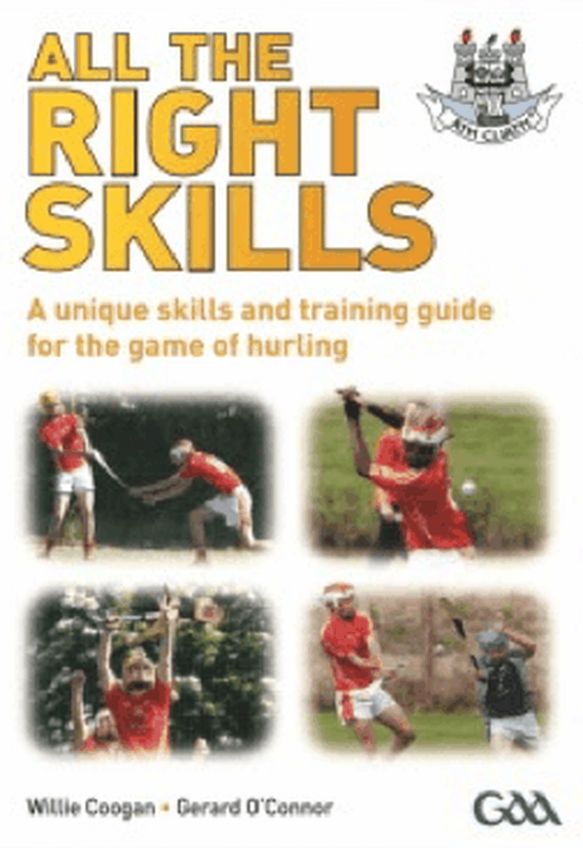 All The Right Skills – Hurling Image