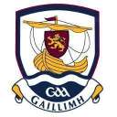 Logo Galway