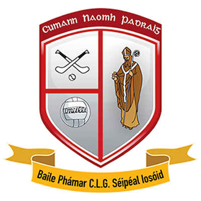 St. Patricks Palmerstown crest