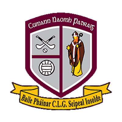 St. Patricks Palmerstown crest